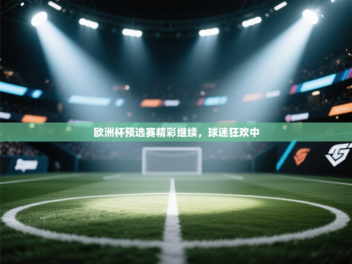 欧洲杯预选赛精彩继续,球迷狂欢中 第2张